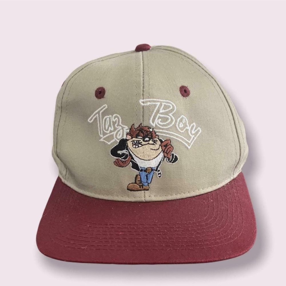 Looney Tunes Snapback Hat Vintage 90 S Tasmanian Devil